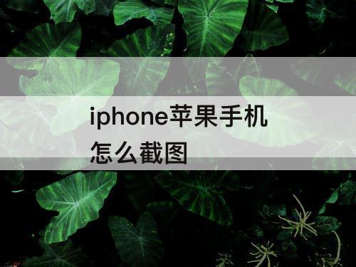 iphone苹果手机怎么截图