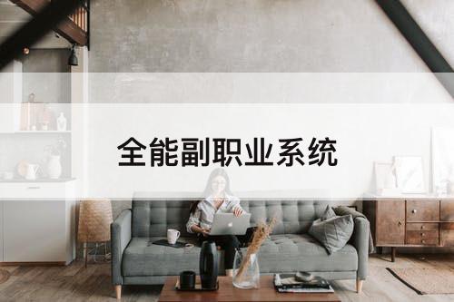全能副职业系统