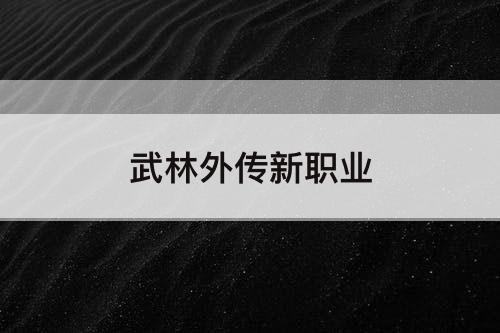 武林外传新职业