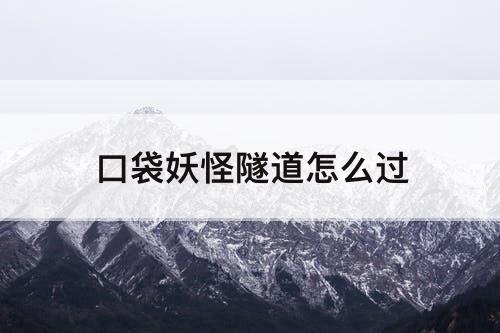 口袋妖怪隧道怎么过