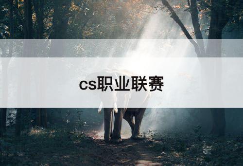 cs职业联赛