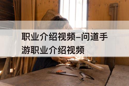 职业介绍视频-问道手游职业介绍视频