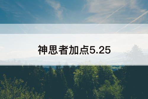 神思者加点5.25