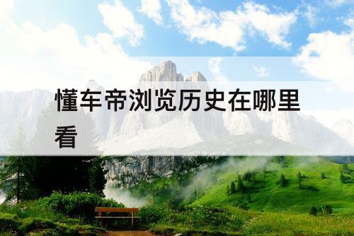 懂车帝浏览历史在哪里看