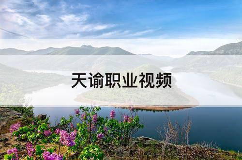 天谕职业视频