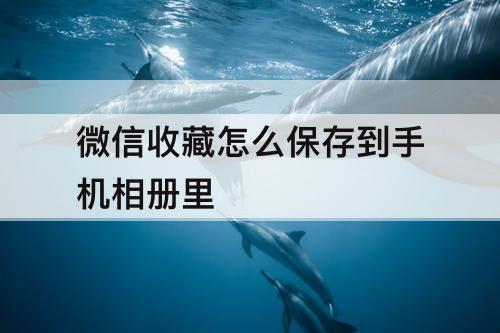 微信收藏怎么保存到手机相册里