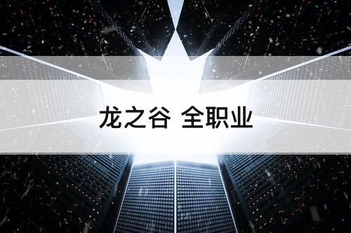 龙之谷 全职业