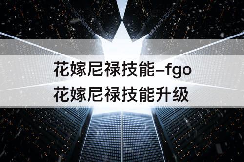 花嫁尼禄技能-fgo花嫁尼禄技能升级