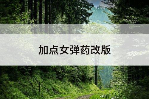 加点女弹药改版
