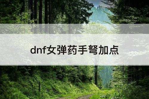 dnf女弹药手弩加点