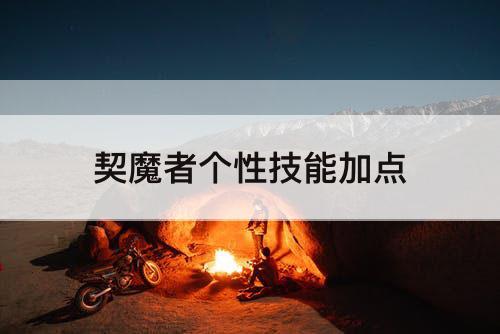 契魔者个性技能加点