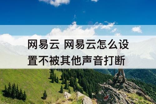 网易云 网易云怎么设置不被其他声音打断