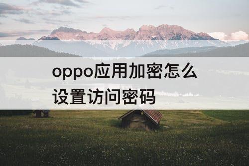 oppo应用加密怎么设置访问密码