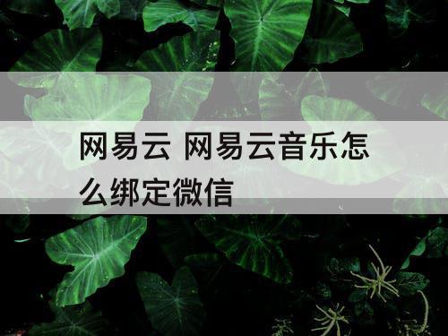 网易云 网易云音乐怎么绑定微信
