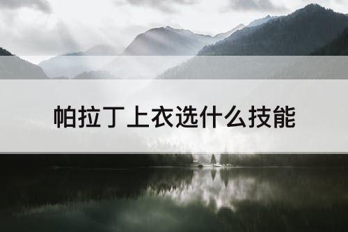 帕拉丁上衣选什么技能
