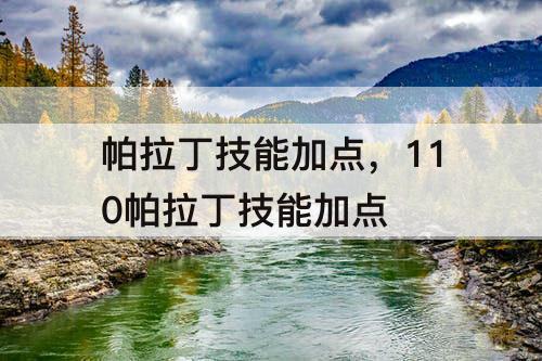 帕拉丁技能加点，110帕拉丁技能加点