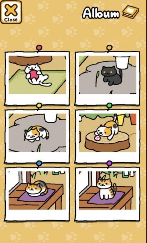 猫咪后院截图