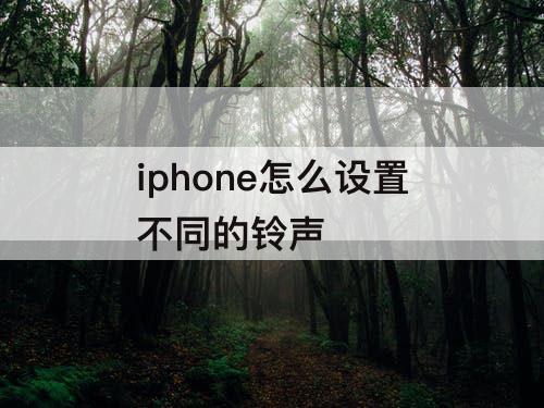 iphone怎么设置不同的铃声
