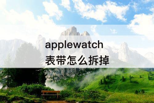 applewatch表带怎么拆掉