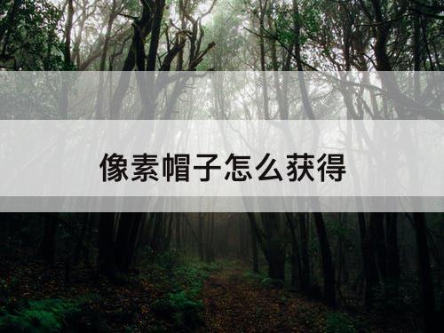 像素帽子怎么获得
