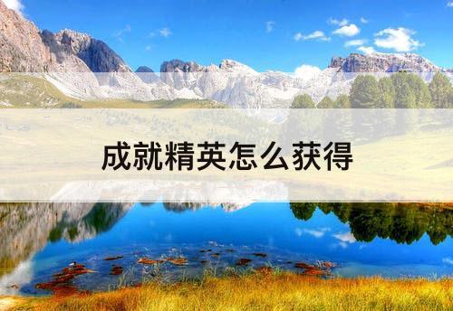 成就精英怎么获得