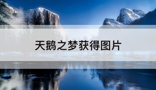 天鹅之梦获得图片