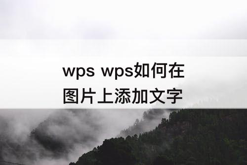 wps wps如何在图片上添加文字