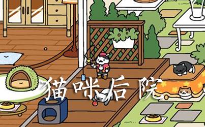 猫咪后院