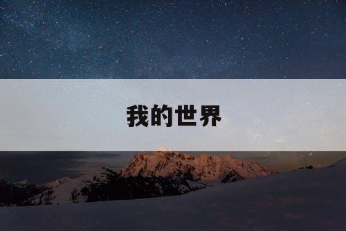 我的世界