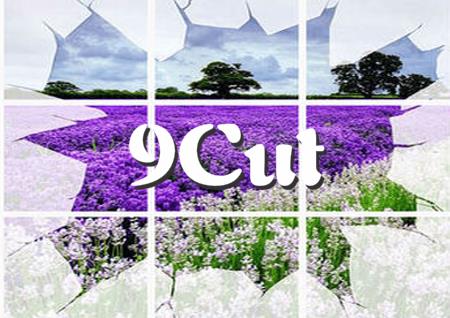 9Cut