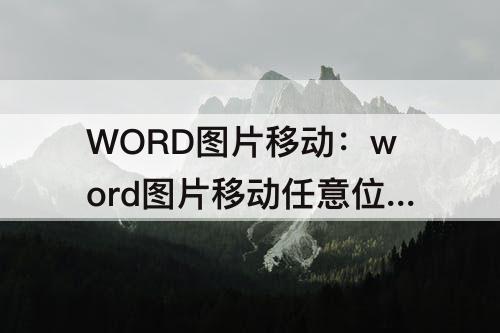 WORD图片移动：word图片移动任意位置