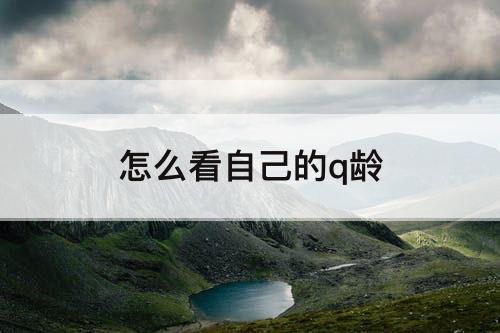 怎么看自己的q龄