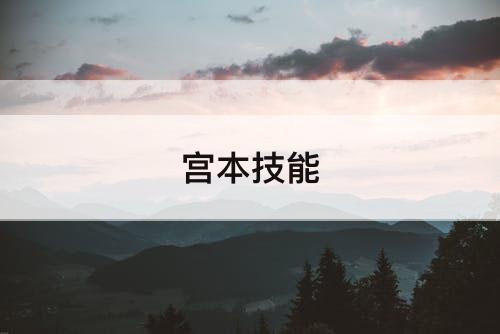 宫本技能