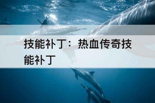 技能补丁：热血传奇技能补丁