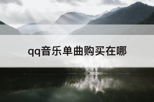 qq音乐单曲购买在哪
