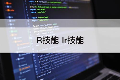 R技能 lr技能