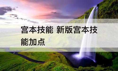 宫本技能 新版宫本技能加点