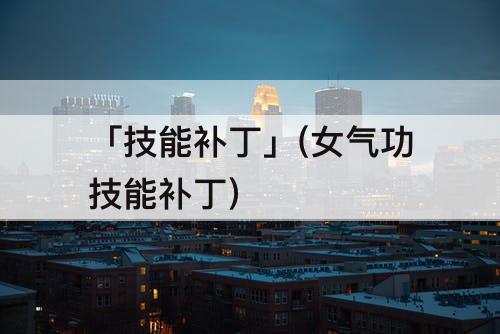 「技能补丁」(女气功技能补丁)