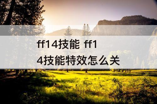 ff14技能 ff14技能特效怎么关