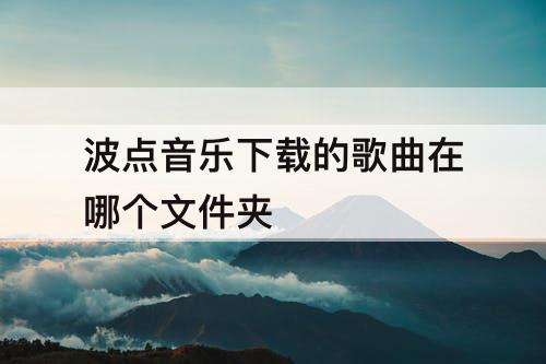 波点音乐下载的歌曲在哪个文件夹