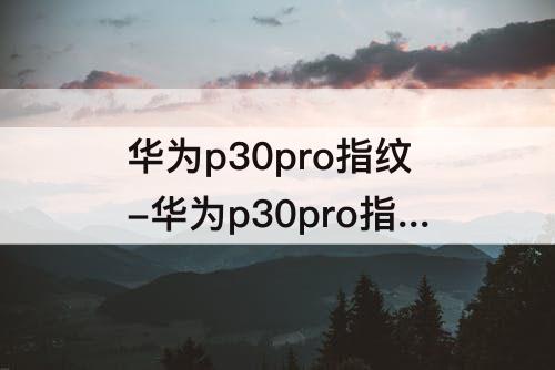 华为p30pro指纹-华为p30pro指纹校准apk名称