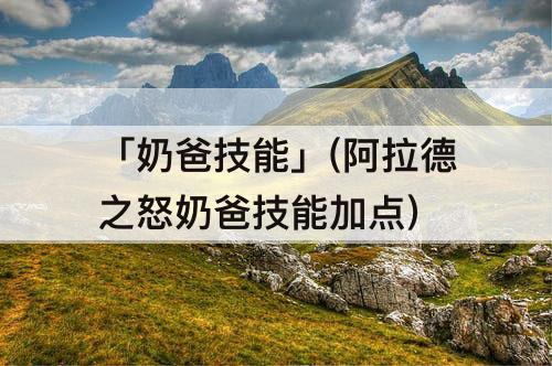 「奶爸技能」(阿拉德之怒奶爸技能加点)