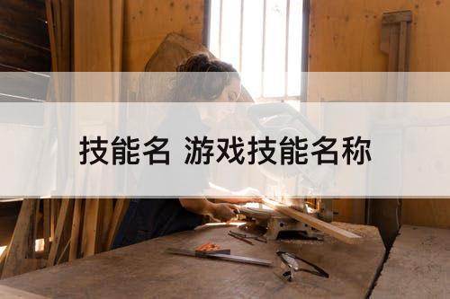 技能名 游戏技能名称