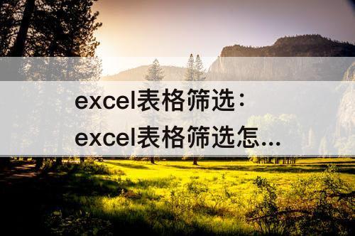 excel表格筛选：excel表格筛选怎么用数据