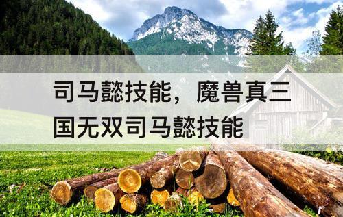司马懿技能，魔兽真三国无双司马懿技能