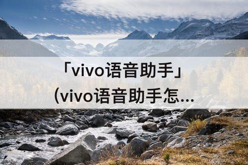 「vivo语音助手」(vivo语音助手怎么设置)
