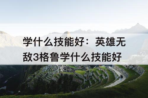 学什么技能好：英雄无敌3格鲁学什么技能好