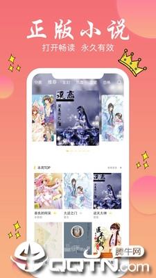 旗阅全本小说电子阅读截图