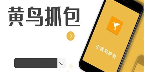 小黄鸟抓包