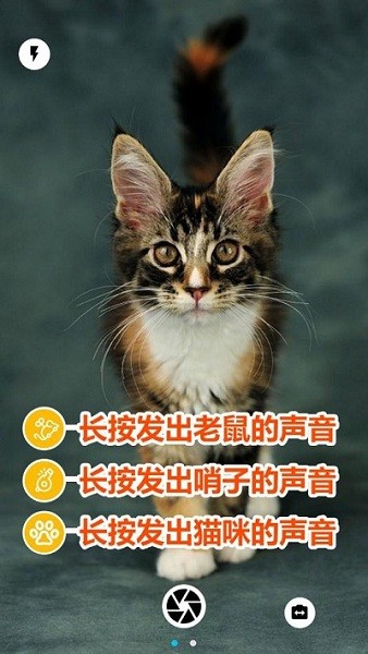 猫咪相机截图